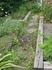 HG Before Walk Pic 8-09.jpg
